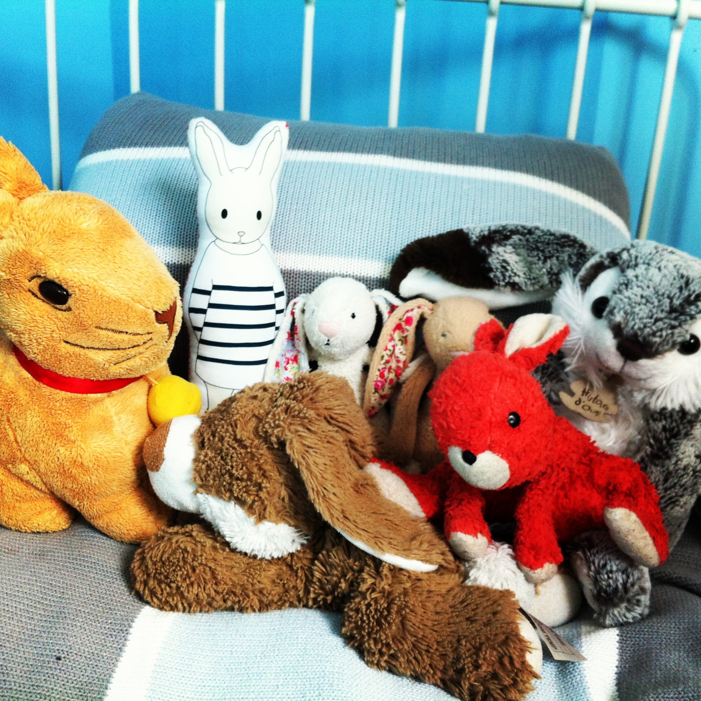 photo de famille des lapins