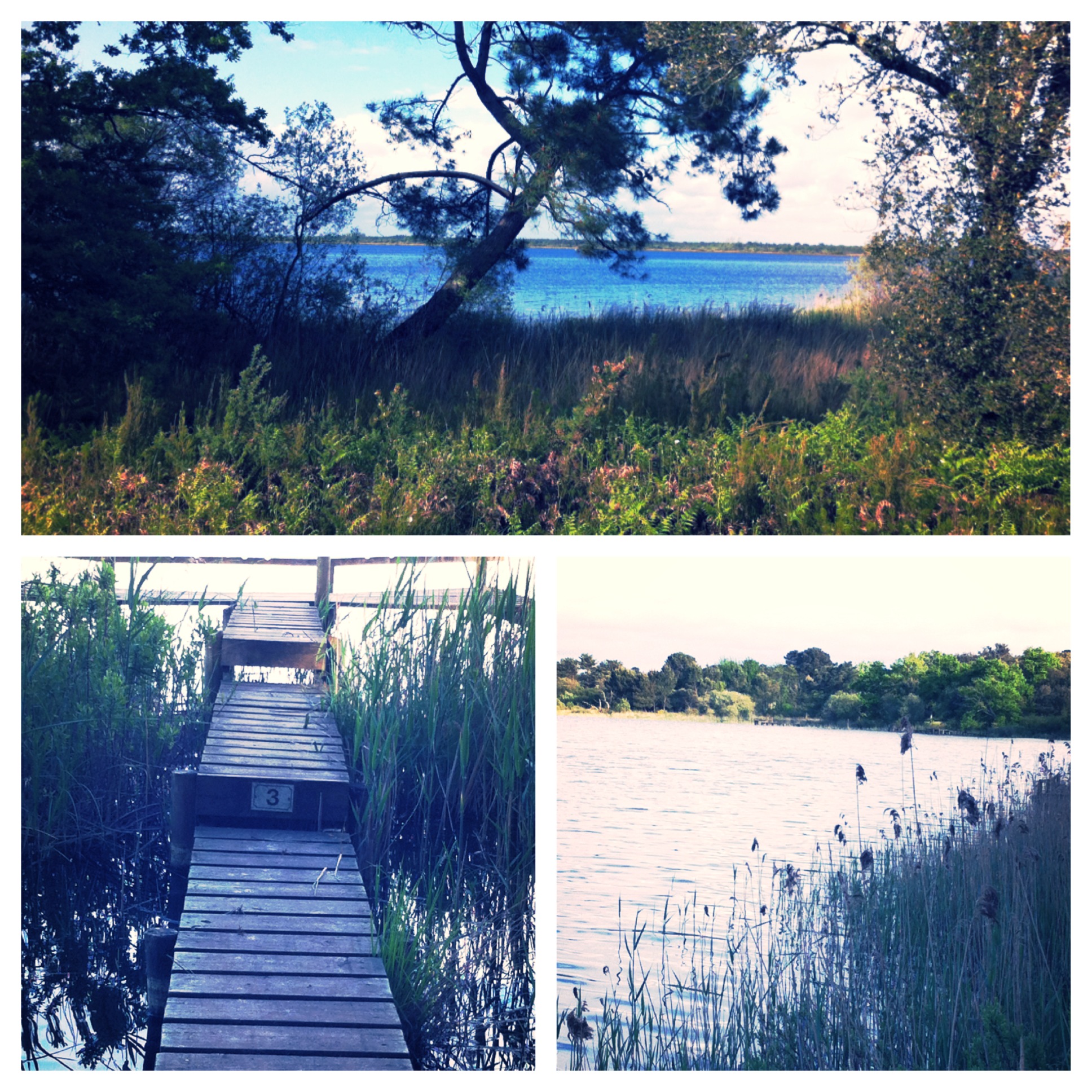 Lac d'Hourtin