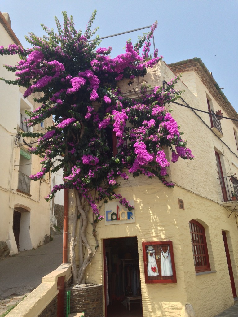 ruelles de Cadaqués